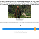 Image for article titled Ubisoft Is Asking Surprising Questions About Assassin's Creed's Future